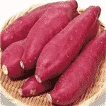 Presentation of Sweet Potato Washing, Drying & Grading Line