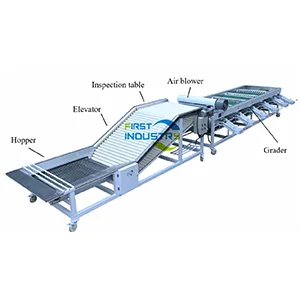 Onion Sorting Machine