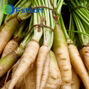 ¿Conoces la Pastinaca Sativa