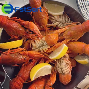 Crayfish Grading Machine