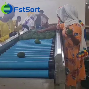 ¡La línea de encerado de aguacates de un cliente etíope se pone en uso!