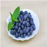 Blueberry season is coming in China
