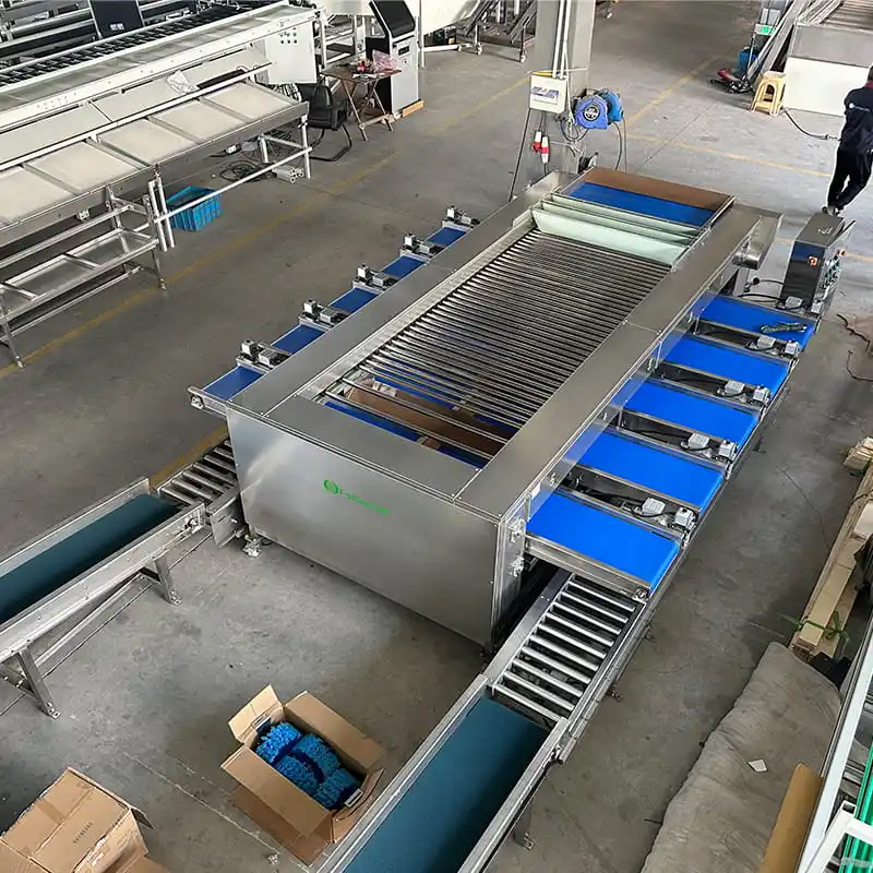 Litchi Season will start in the next few month