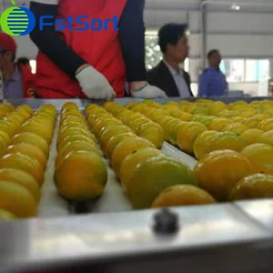 Oranges tripled their purchase price with the help of e-commerce