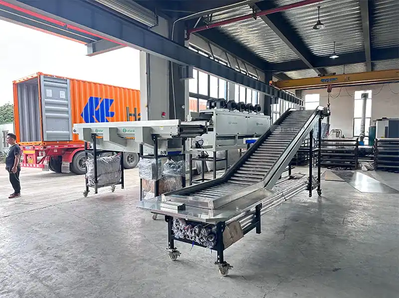 Postharvest processing of coconuts: an effective strategy to reduce losses