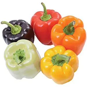 Bell pepper packing line