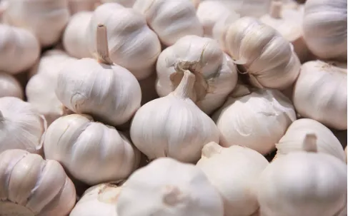 Fstsort Garlic Sorting Machine