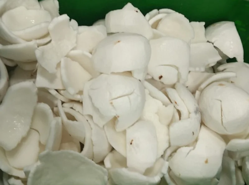 Coconut white kernal cleaning line