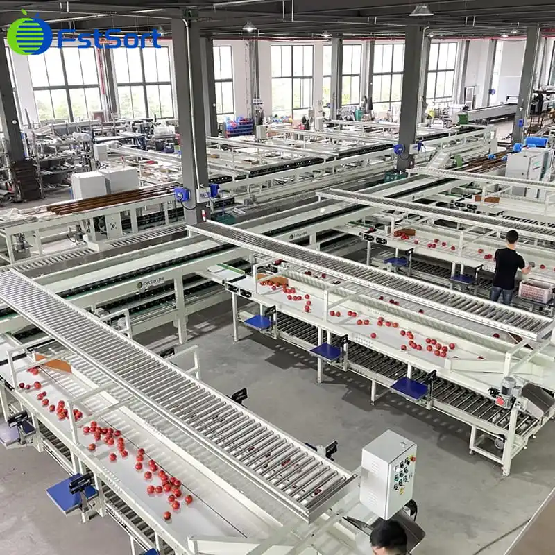 Clasificadora de pesaje electrónico de tomates