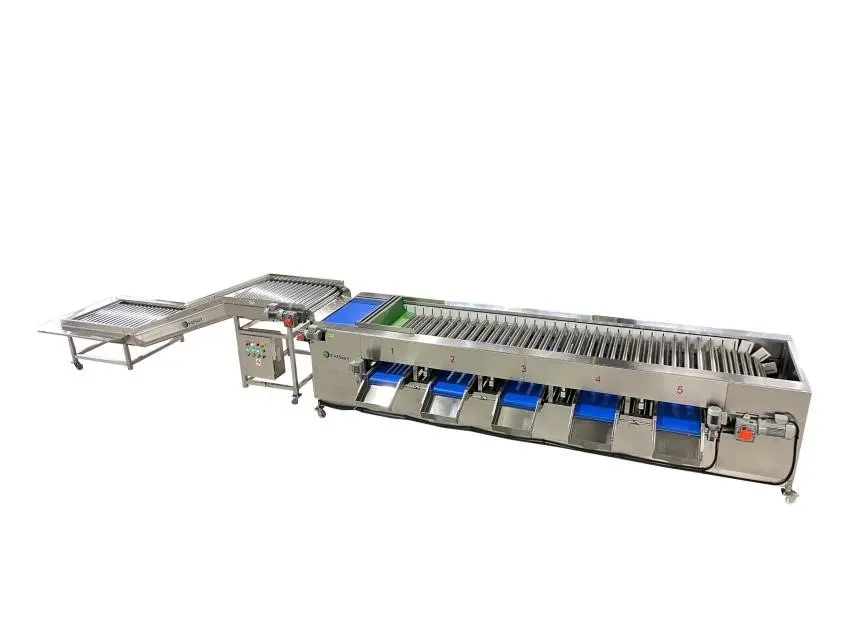 Crayfish sorting grading machine