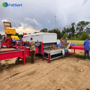High-Accuracy AI Potato Sorting Machine for Maximum Efficiency
