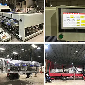 Potato washing drying sorting and weight packing line