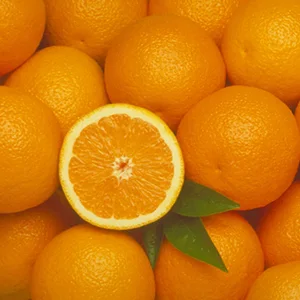 The latest global information of citrus fruits