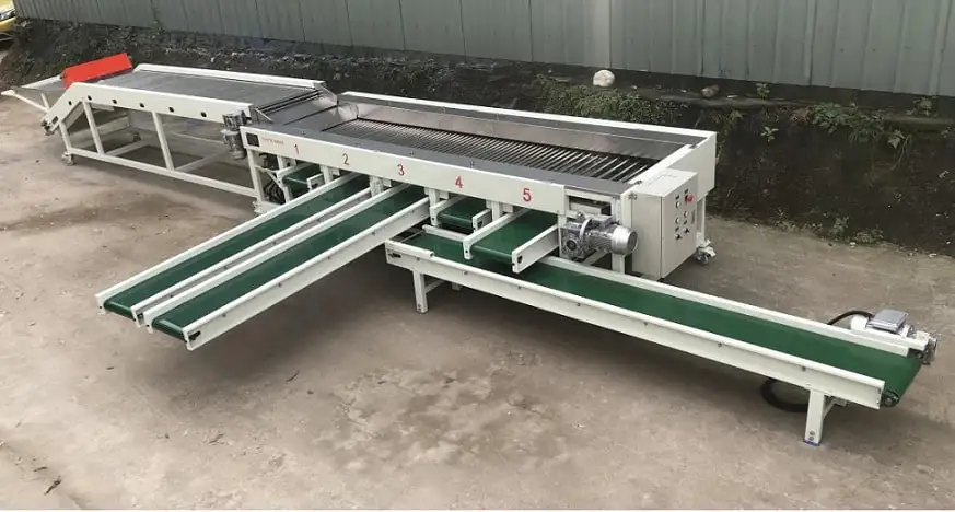 Cherry Tomato and lychee Grading Machine