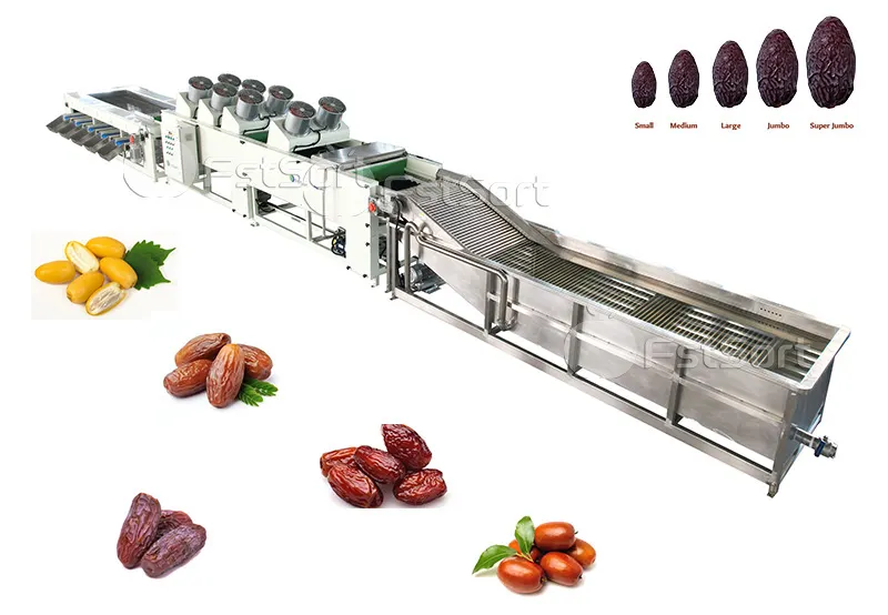 Fstsort Date Processing Machine