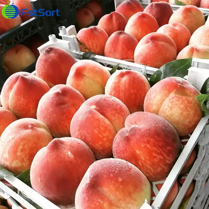 Peach automatic sorting equipment