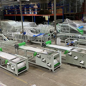 Máquina de clasificación de arándanos