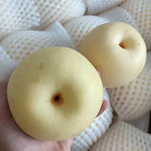 China's fresh pear export season is ahead of schedule and prices are higher than last year