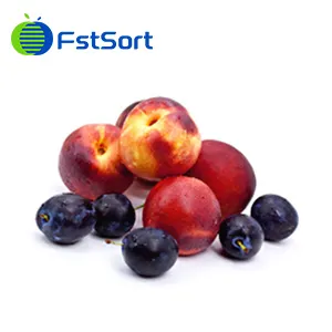 The new South African stone fruit season is coming