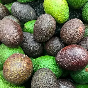 Avocado Quality Control: Avocado Optical Sorting Grading Machine