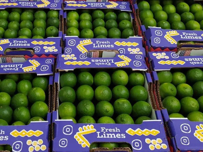 Colombia increases lime production