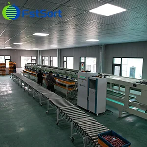 FstSort's four-channel fruit sorting line makes a stunning debut
