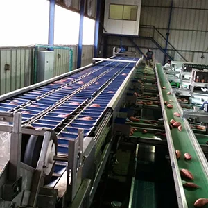 Sweet potato packing solutions