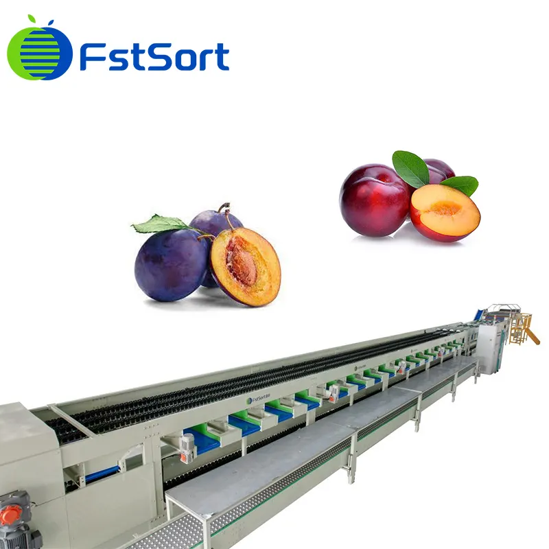 Clasificación de Cuatro Carriles de Alta Capacidad