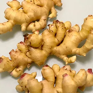 FstSort Ginger Washing Machine: Efficient Cleaning, the Choice for Quality