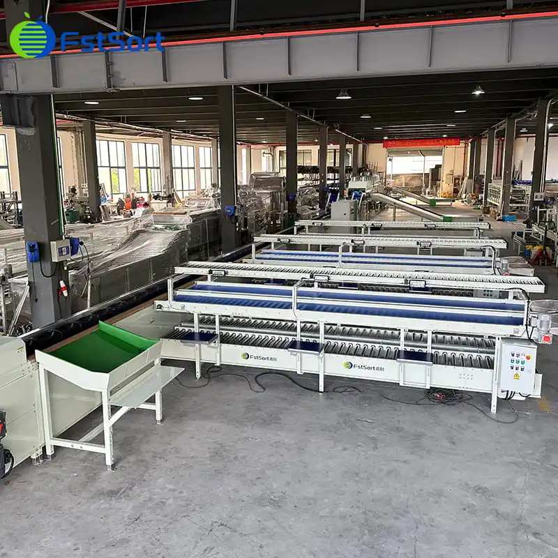 Línea de clasificación grande----Clasificación automática de pomelo