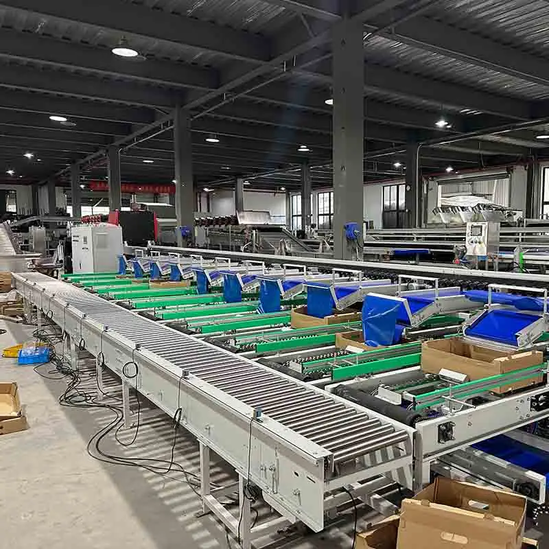 Tomato optical machine optimizes your sorting results