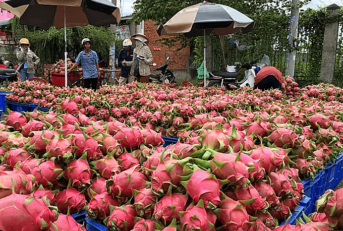 Vietnam’s vegetable and fruit exports surge year-on-year