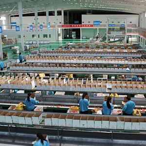 Do you know the Luochuan apple