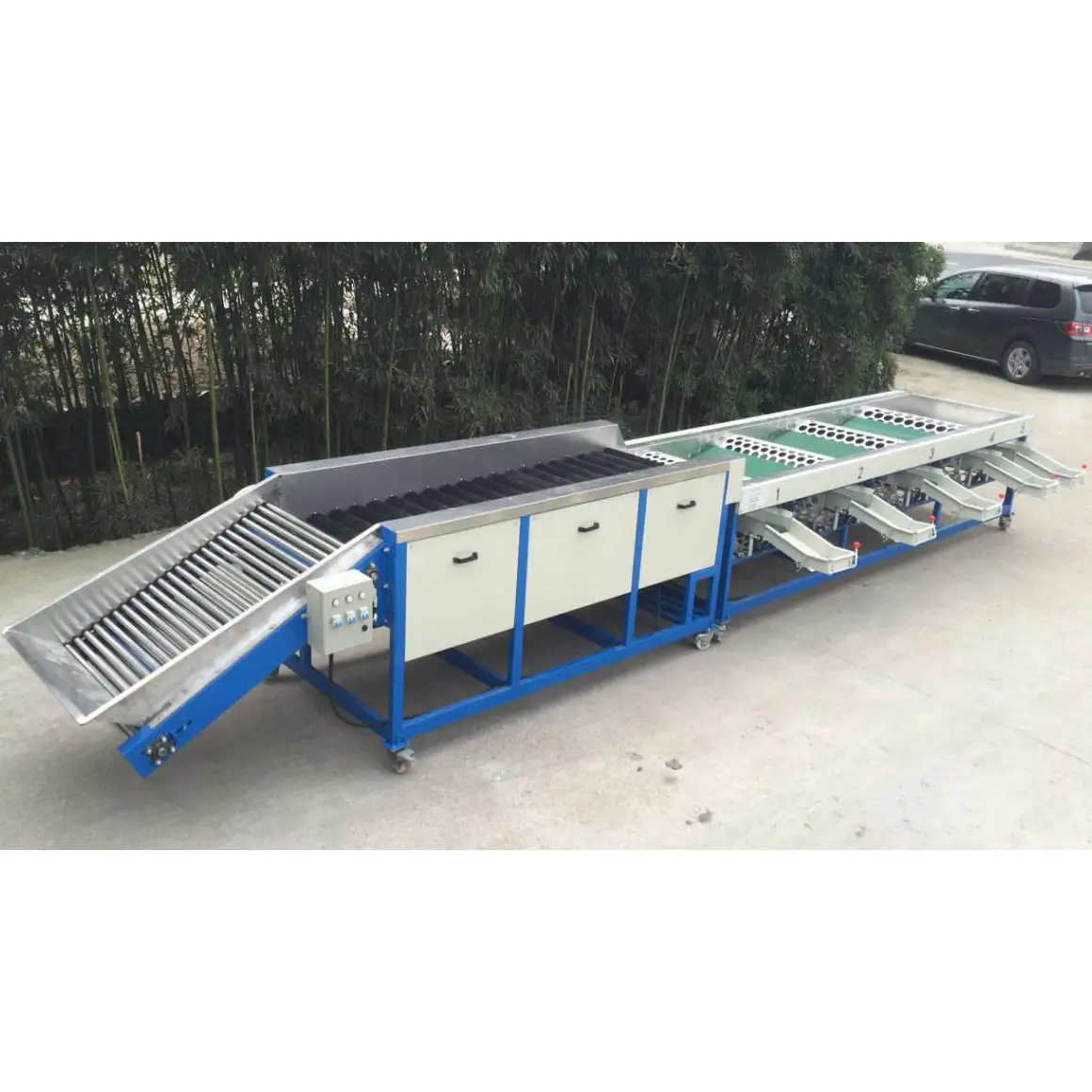 Garlic cleaning and grading machine