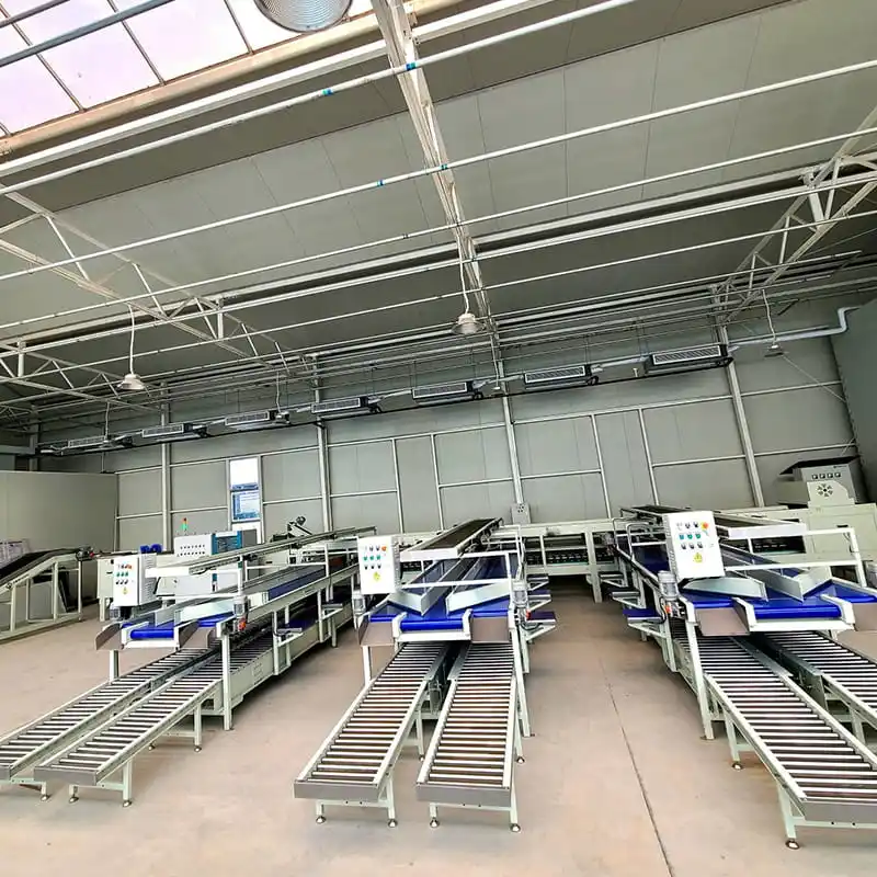 Pear Market in ChinaPear Market in China