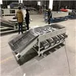 Mandarin grading machine sold to America
