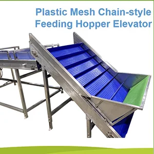 Onion Sorting Machine at Best Price in Israel