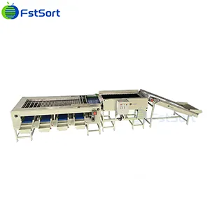 Industry insights behind “potato diplomacy”: potato sorting, quality and efficiency are key.