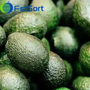 About thirty percent of Peru's avocado threatened by drought