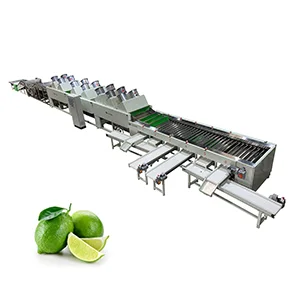 Lime Washing Drying and Sorting Line