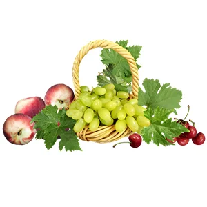 Uzbekistan will increase exports of fruits and vegetables to China