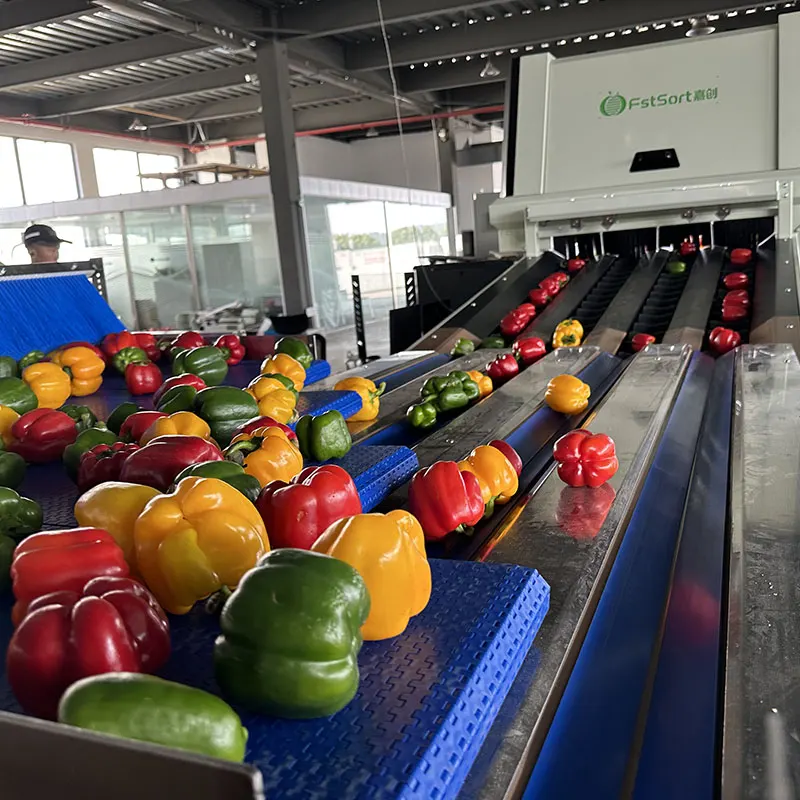 Why do we need fruits and vegetables sorting lines?