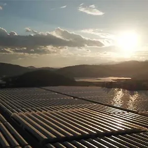 The new blueberry packaging plant will be put into use in January