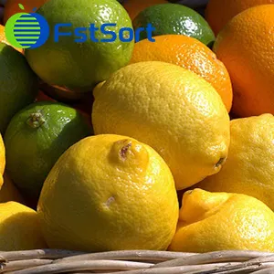 Morocco has sharply reduced exports to Russia