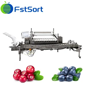 Nuevo logro---Envasadora de arándanos