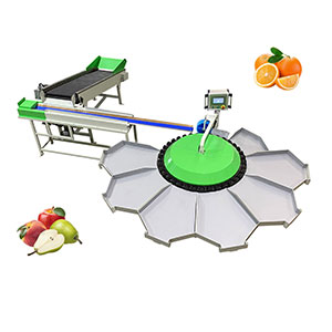 Rotary weight grader, fruit weight sorting machine, fruit sorting grading machine, fruit sizer, fruit grader, fruit weight sizer