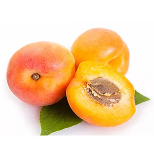 How to choose a suitable Apricot classifier
