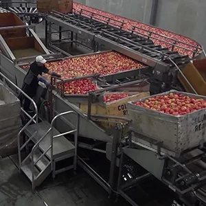 Practical apple bin tipper