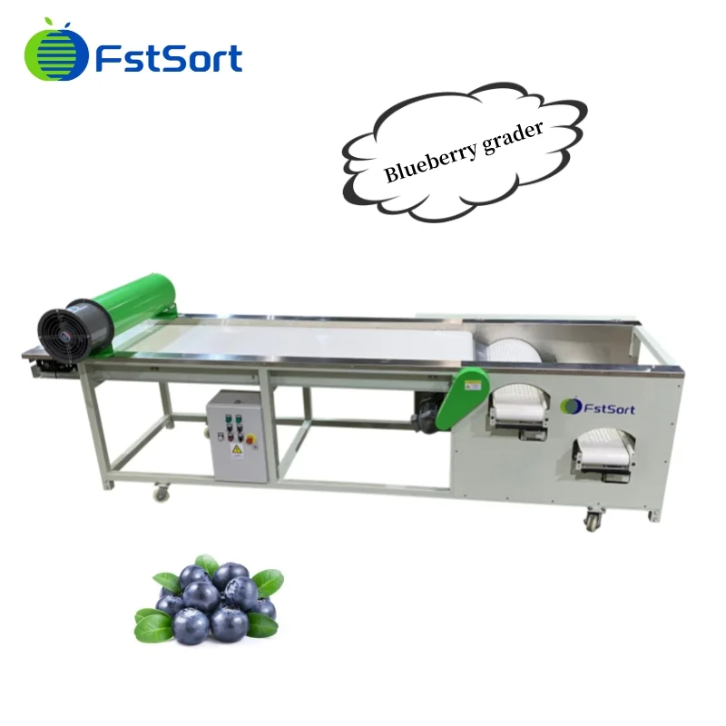 A Consultation from Ecuador on the Blueberry Sorting Machine