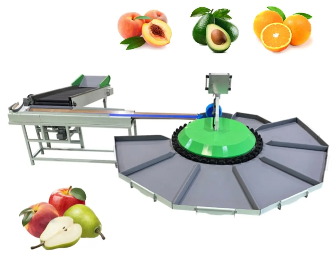 Circular Weight Sorting Machine was sold to North Macedonia
